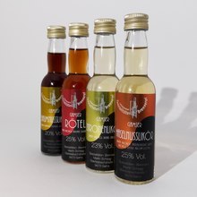Lade das Bild in den Galerie-Viewer, Probierset «Das Likör-Paradies»
